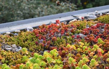 the cost of Fulstow green roof installation